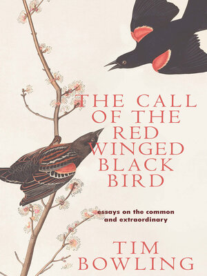 cover image of The Call of the Red-Winged Blackbird